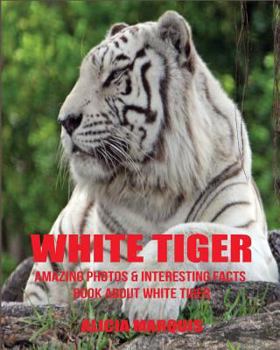 Paperback White Tiger: Amazing Photos & Interesting Facts Book about White Tiger Book