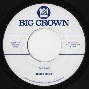Vinyl This Love / Should I Take You Home Book