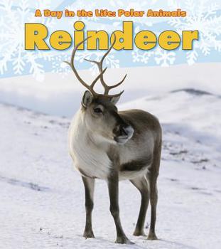 Reindeer - Book  of the A Day in the Life: Polar Animals
