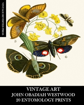 Paperback Vintage Art: John Obadiah Westwood 20 Entomology Prints: Fauna and Flora Ephemera for Framing, Collage and Decoupage Book