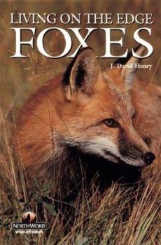 Paperback Foxes: Living on the Edge Book