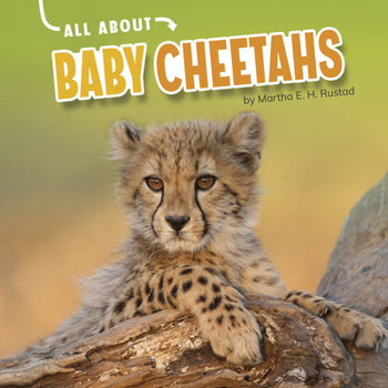 Hardcover All about Baby Cheetahs Book