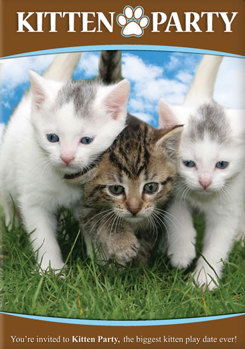 DVD Kitten Party Book