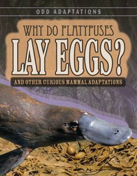 Paperback Why Do Platypuses Lay Eggs?: And Other Curious Mammal Adaptations Book