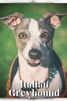 Paperback Italian Greyhound: Dog breed overview and guide Book