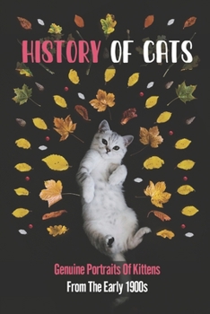 History Of Cats: Genuine Portraits Of Kittens From The Early 1900s: Cats In Dresses