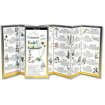 Common Weeds of the Southeast