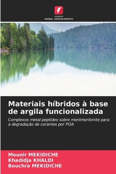 Materiais híbridos à base de argila funcionalizada (Portuguese Edition)