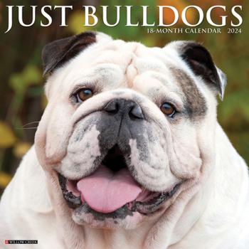 Calendar Just Bulldogs 2024 12 X 12 Wall Calendar Book