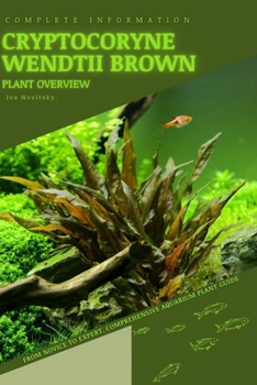 Cryptocoryne Wendtii Brown: From Novice to Expert. Comprehensive Aquarium Plants Guide