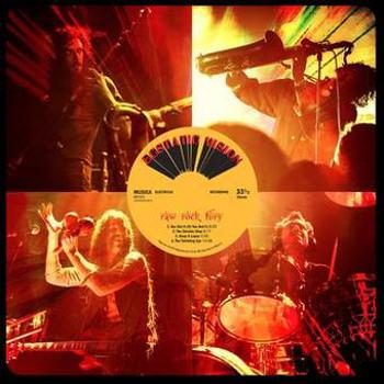 Vinyl Raw Rock Fury Book
