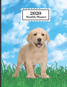2020 Monthly Planner: Labrador Retriever Puppy Dog Breed Design Cover 1 Year Planner Appointment Calendar Organizer And Journal For Writing
