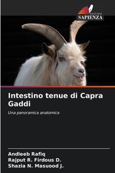 Paperback Intestino tenue di Capra Gaddi [Italian] Book