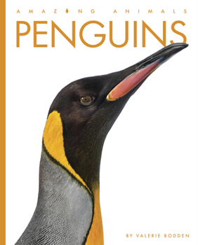 Penguins - Book  of the Amazing Animals