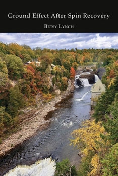 Paperback Ground Effect After Spin Recovery Book