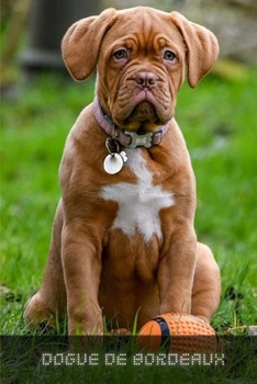 Paperback Dogue De Bordeaux: Complete breed guide Book