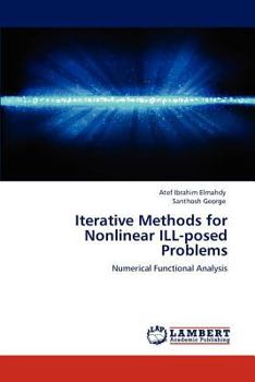 Paperback Iterative Methods for Nonlinear ILL-posed Problems Book