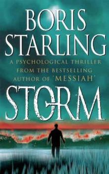 Paperback Storm Book