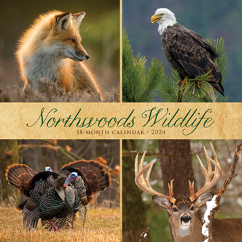 Calendar Northwoods Wildlife 2024 12 X 12 Wall Calendar Book