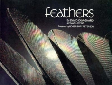 Paperback Feathers Book