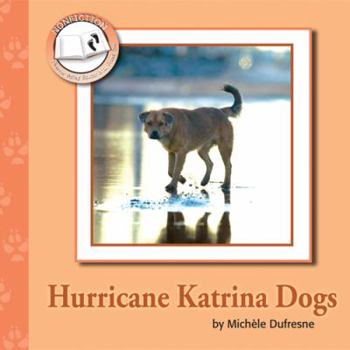 Paperback Hurricane Katrina Dogs Book