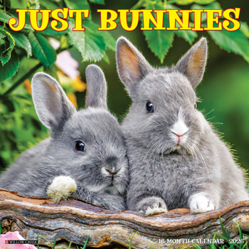 Calendar Bunnies 2026 Wall Calendar Book