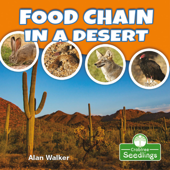 Library Binding Food Chain in a Desert Book