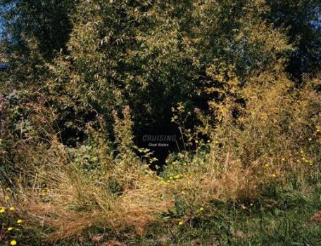 Hardcover Cruising Book