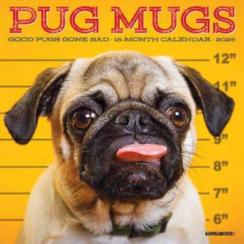 Mini-Disc Pug Mugs 2026 Mini Wall Calendar Book