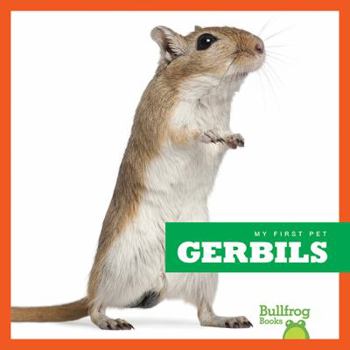 Gerbils - Book  of the My First Pet