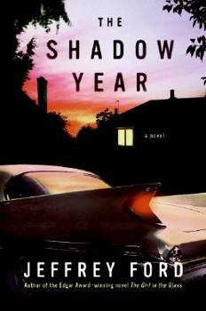 Hardcover The Shadow Year: A Novel Book