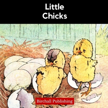 Paperback Little Chicks Book