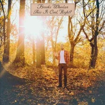 Vinyl This Is Cool, Right? Book