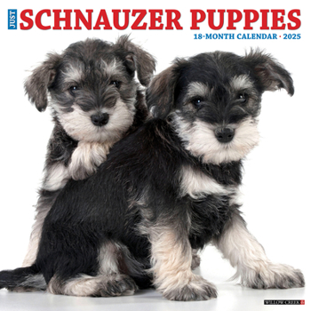 Calendar Just Schnauzer Puppies 2025 12 X 12 Wall Calendar Book