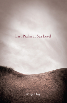 Paperback Last Psalm at Sea Level Book