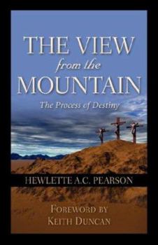 Paperback The View From the Mountain Book