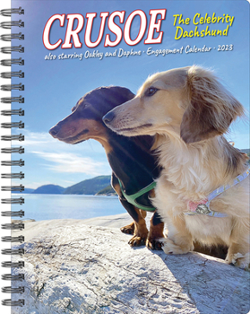 Calendar Crusoe the Celebrity Dachshund 2023 Engagement Calendar Book