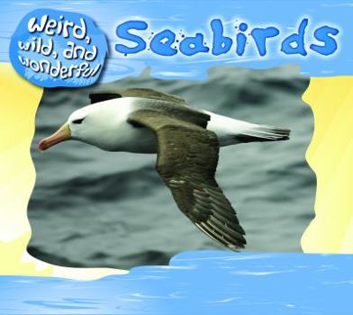 Seabirds - Book  of the Weird, Wild, and Wonderful
