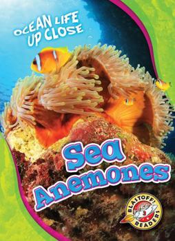 Sea Anemones - Book  of the Ocean Life Up Close