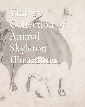 Paperback Vintage Collection of Animal Skeleton Illustrations Book