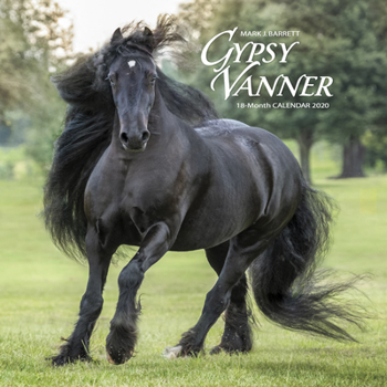 Calendar Gypsy Vanner Horse 2020 Wall Calendar Book