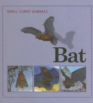 Bat - Book  of the Small Furry Animals