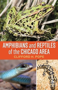 Paperback Amphibians and Reptiles of the Chicago Area Book