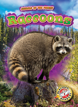 Library Binding Raccoons Book