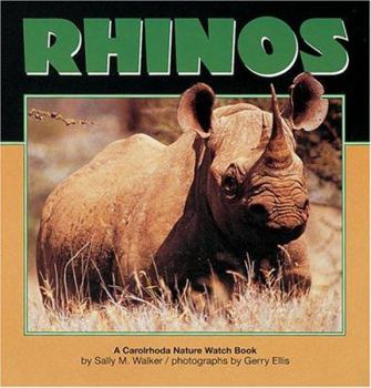 Hardcover Rhinos Book