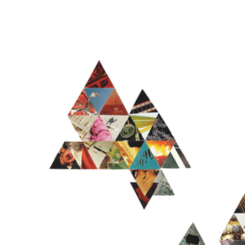 Vinyl Field Studies Book