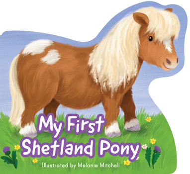 Board book My First Shetland Pony Book