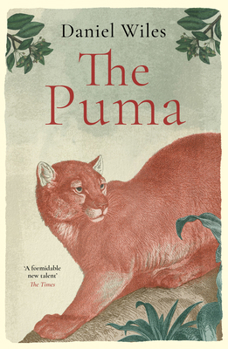 Hardcover The Puma Book