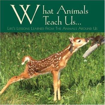 Hardcover What Animals Teach Us: Life's Lessons Learned from the Animals Around Us Book