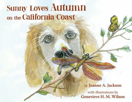 Hardcover Sunny Loves Autumn on the California Coast Book